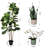 Artificial Fiddle Leaf Fig Tree with plants indoor decor home and office