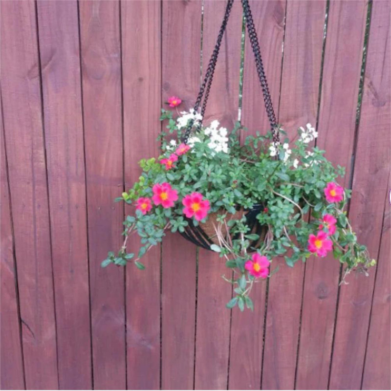 Erilyn Handmade Metal Hanging Planter