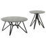 Sevier 2-Piece Round Smarttop Coffee And End Table Set Cement