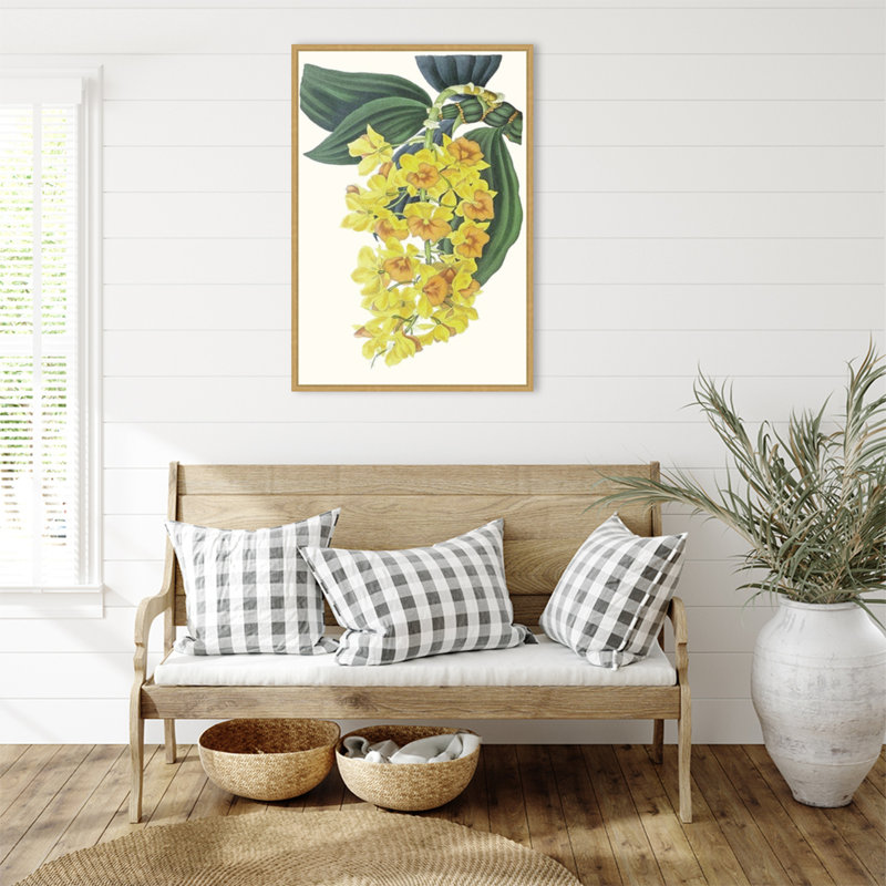 Impression sur toile encadrée «Tropicals VI» par Ciska, H 33 po x l 23 po