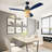 Ceiling Fan with Light Kit-1662170201
