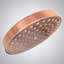 Pomme de douche pour salle de bain 8 po BathSelect