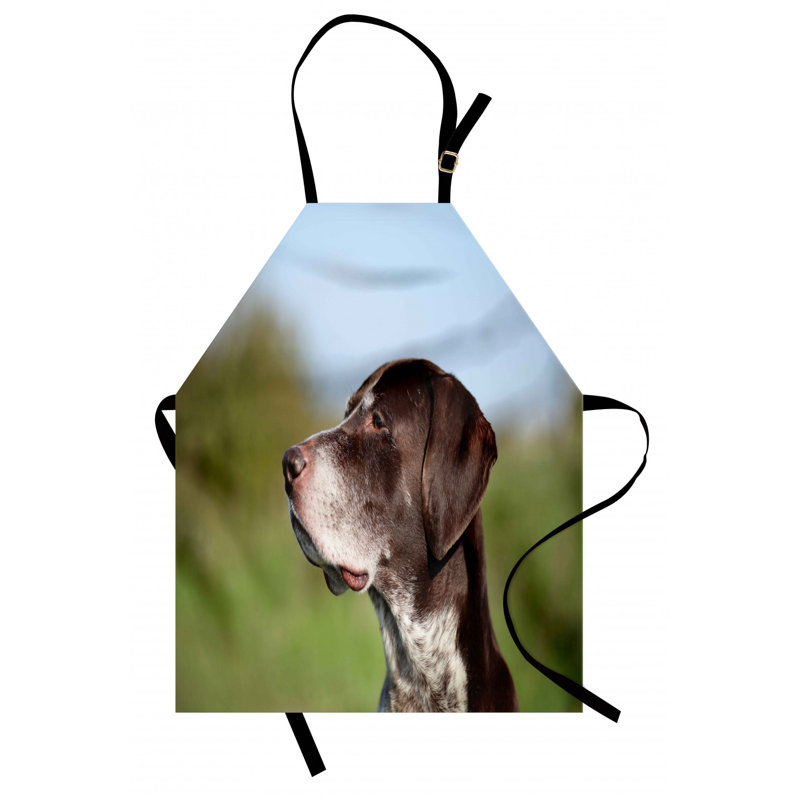 Bib Apron