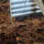 Customer photo 1 of 2