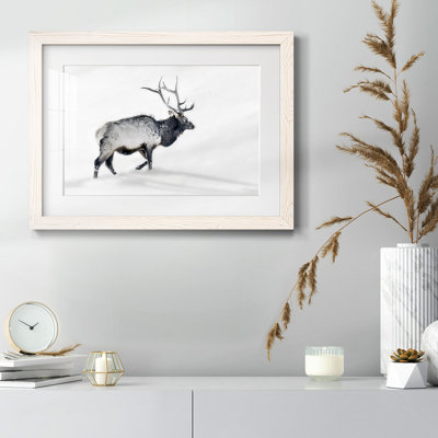 Lone Bull encadré sur papier