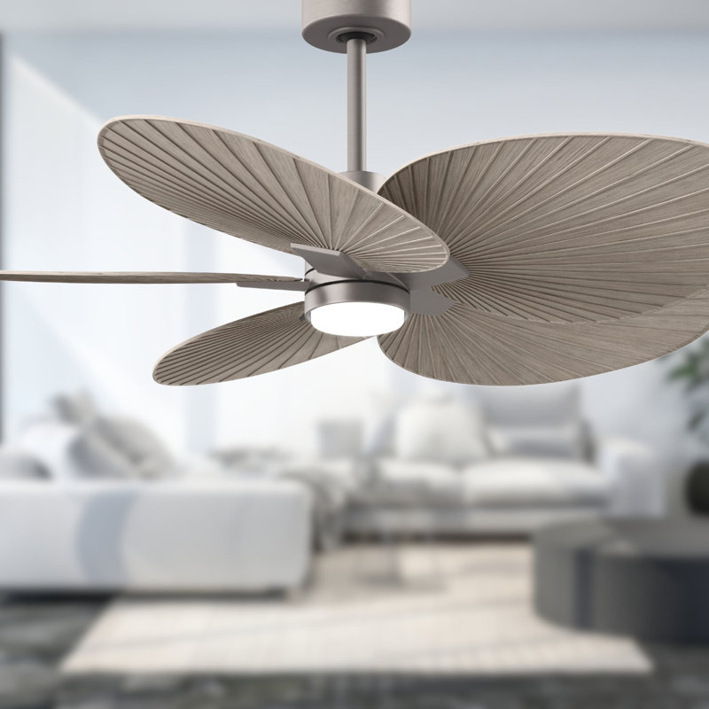 Alessandra Tropical - Five Blade Ceiling Fan - Integrated LED -Matte Black Finish -Light Blue Blades, Gray Ash Tone