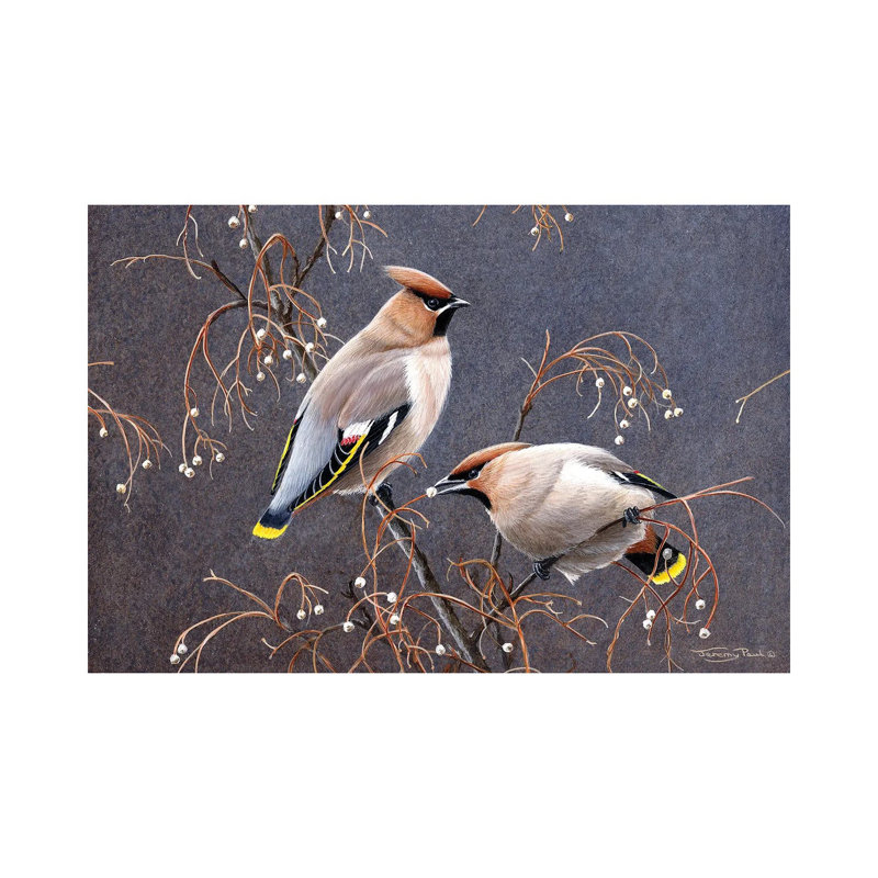 Waxwings par Jeremy Paul - Toile tendue avec châssis sur toile tendue, H 18 po x l 26 po x P 1,5 po