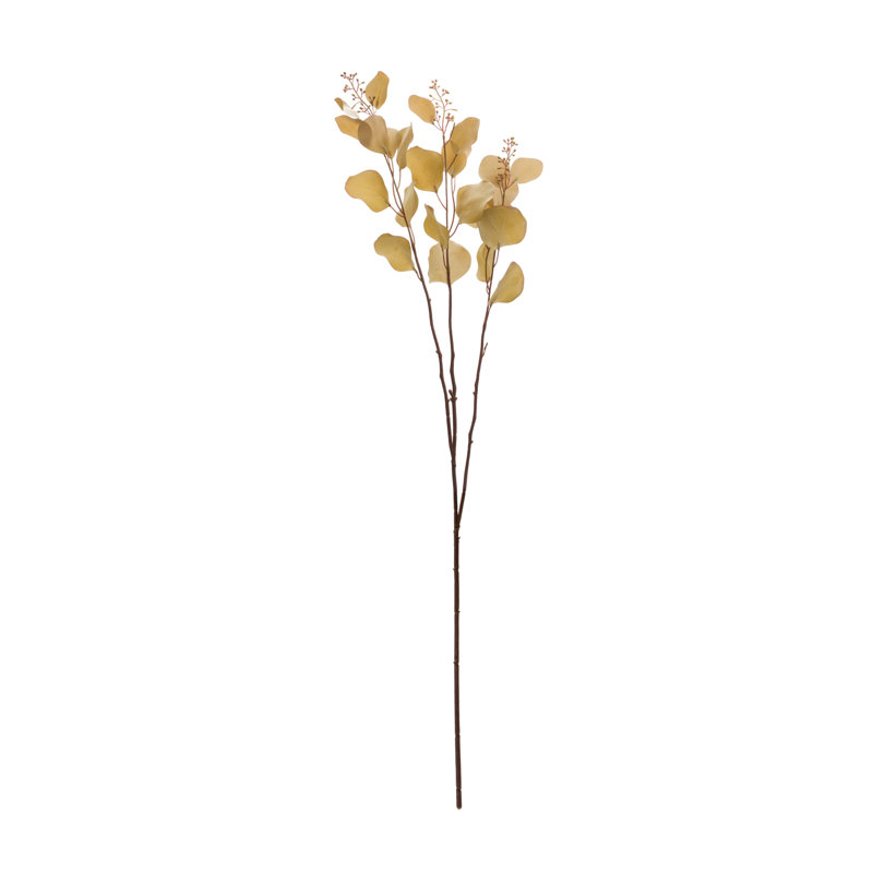  Tige d'eucalyptus , Brun
