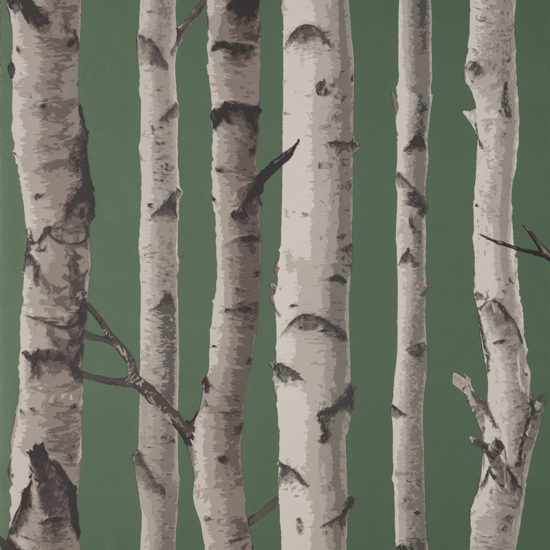 Birch Trees Wallpaper, Green