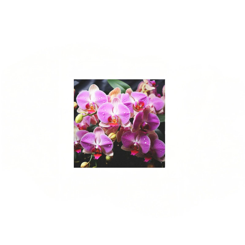 Impression sur toile mauve à motif d'orchidées mauves 24 po x 24 po