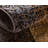 Arabica Abstract Indoor Rug