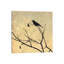 Perched by Allison Pearce - Wrapped Canvas Print-1358516731
