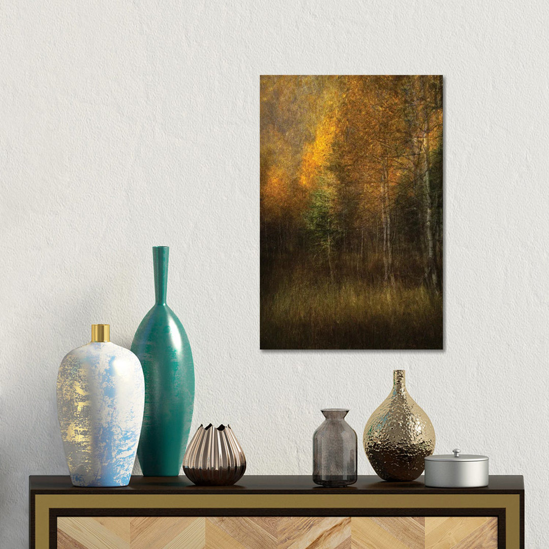 Woods von Roxana Labagnara - Giclée auf Leinwand ohne Rahmen