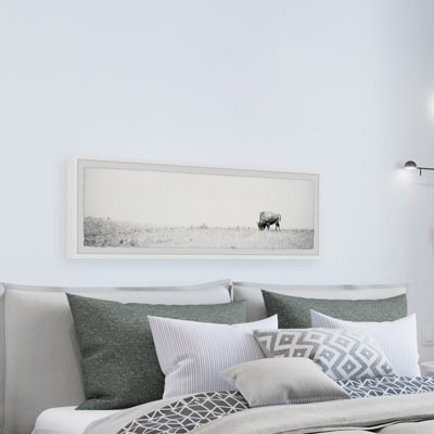 'Wild Buffalo' Framed Print
