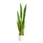 30 po Plante artificielle Sansevieria