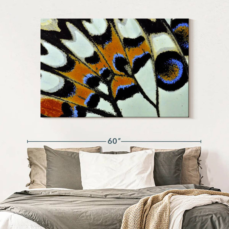 Brampt Butterfly Wing Close Up, 34" H x 51" W