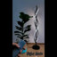 152cm Polished LED Novelty Floor Lamp Set-129385617