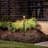 Path & Spread 1-Lt 12V-1381004418