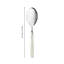 Fantasia Risotto Spoon-39022398