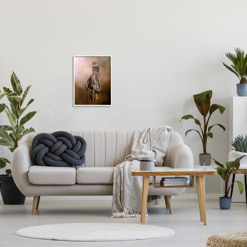 Tronc d'arbre perché barré nature - photographie, H 20 po x l 16 po x P 1,5 po, Giclée encadrée blanc bord de mer
