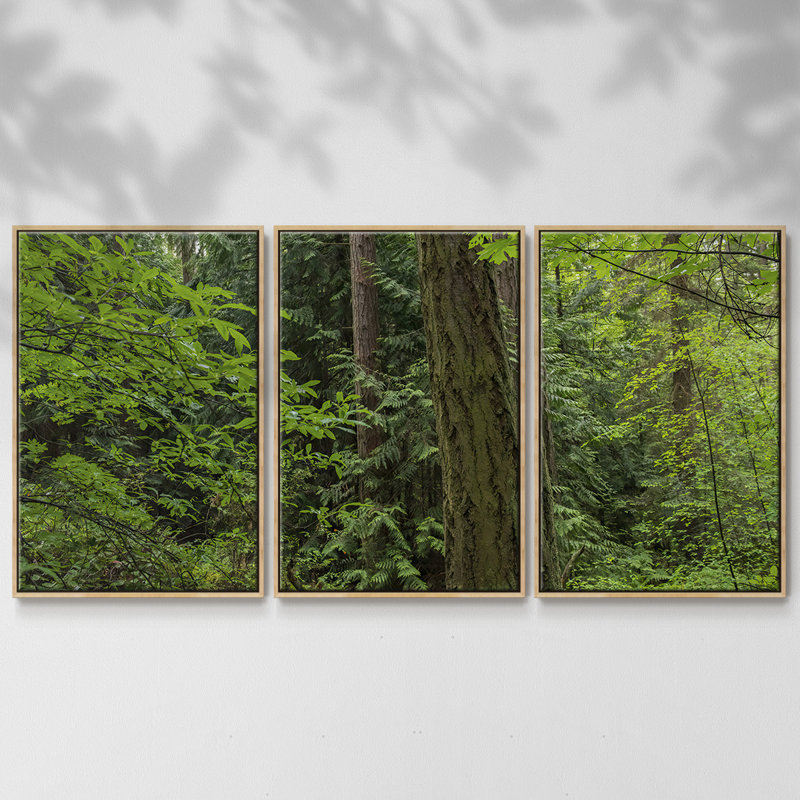 Calme de la forêt, peinture sur toile 3 pièces, H 24 po x l 48 po, Encadré naturel