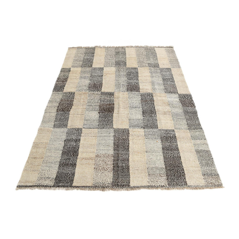 4x6 Preciado Multi Rug