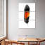 Plume noire et orange Kerner-108543248