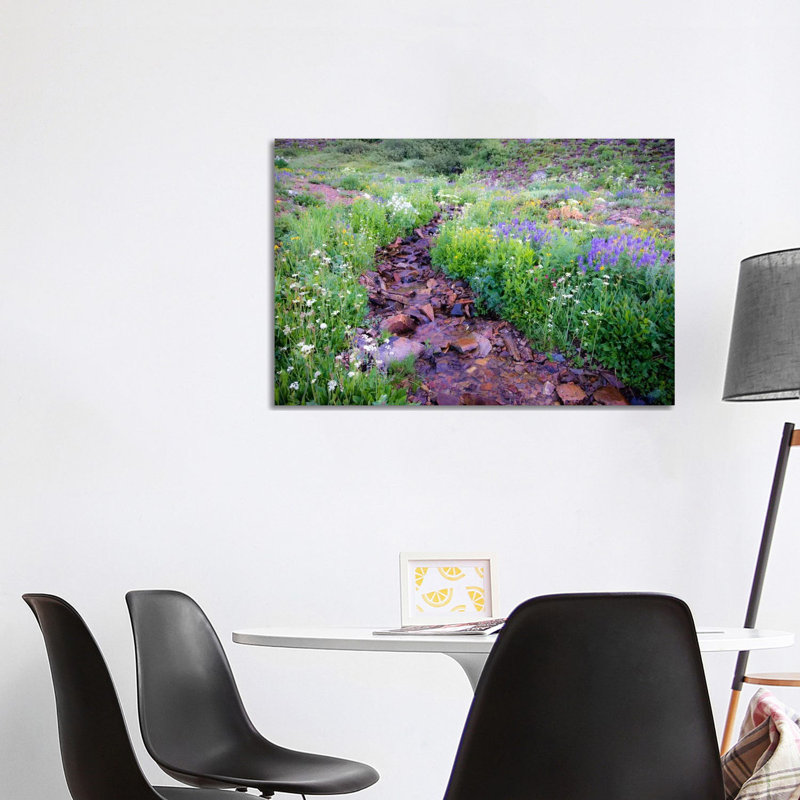 Field Of Beauty L by Dan Ballard - Wrapped Canvas Print, 101.6 cm H x 66.04 cm W x 3.175 cm D