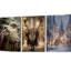 3 Piece Wrapped Canvas Print
