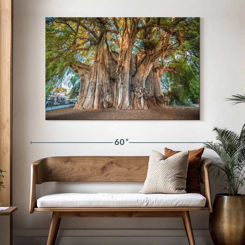 Arbre Harnek Arbol El Tule, H 34 po x l 51 po