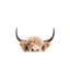 Peeking Cow - Wrapped Canvas Print-651292560