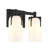Irela 4-Light Vanity Light in Black-285041195-302682951-285041196