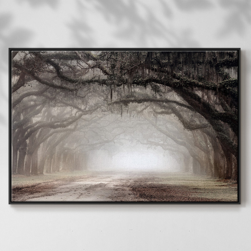 Timeless Plantation Drive, reproduction d'art sur toile, Noir, H 17 po x l 25 po x P 2 po