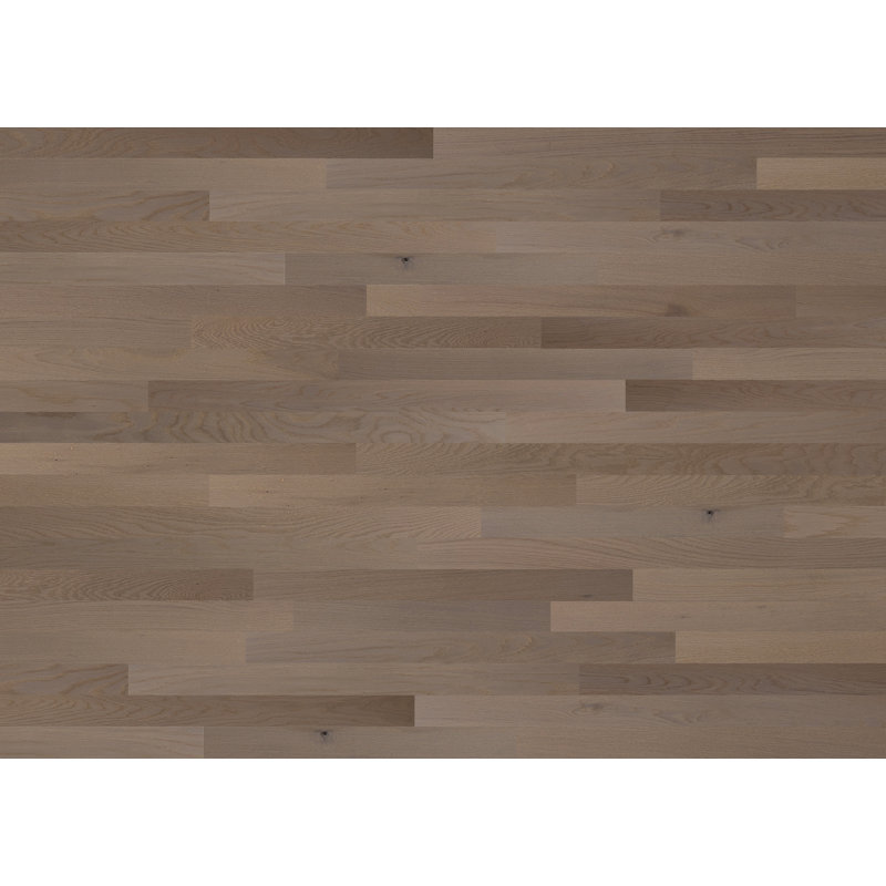 Planches de bois Timberchic Oak, gris, L 3 po