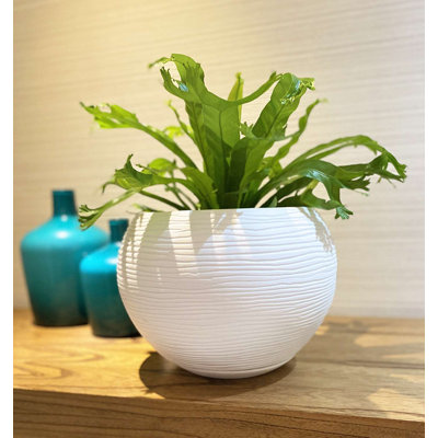 Florence Pot Planter