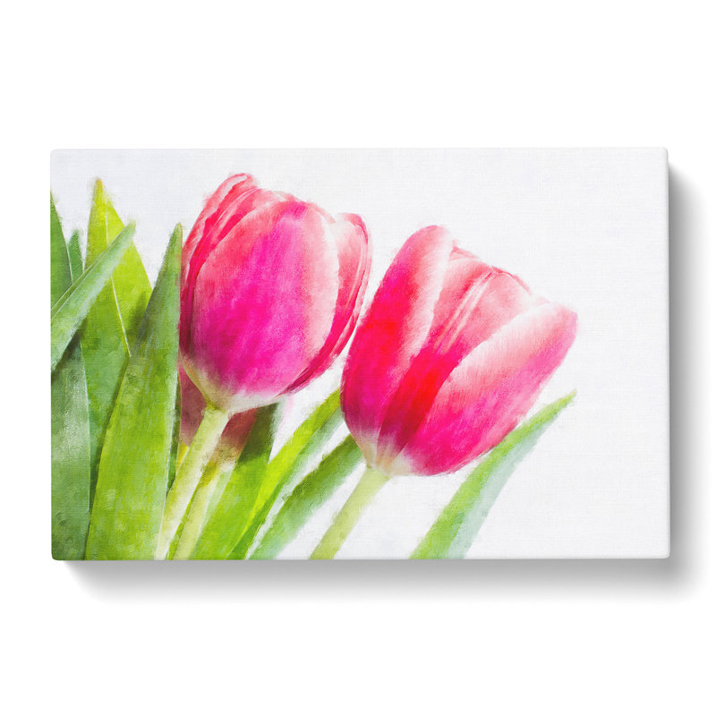 Pair of Pink Tulip Flowers - Wrapped Canvas Photograph Print, 35cm H x 50cm W x 3cm D