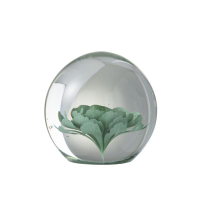 Xanthe Landscape & Nature Cloche Or Water Globe