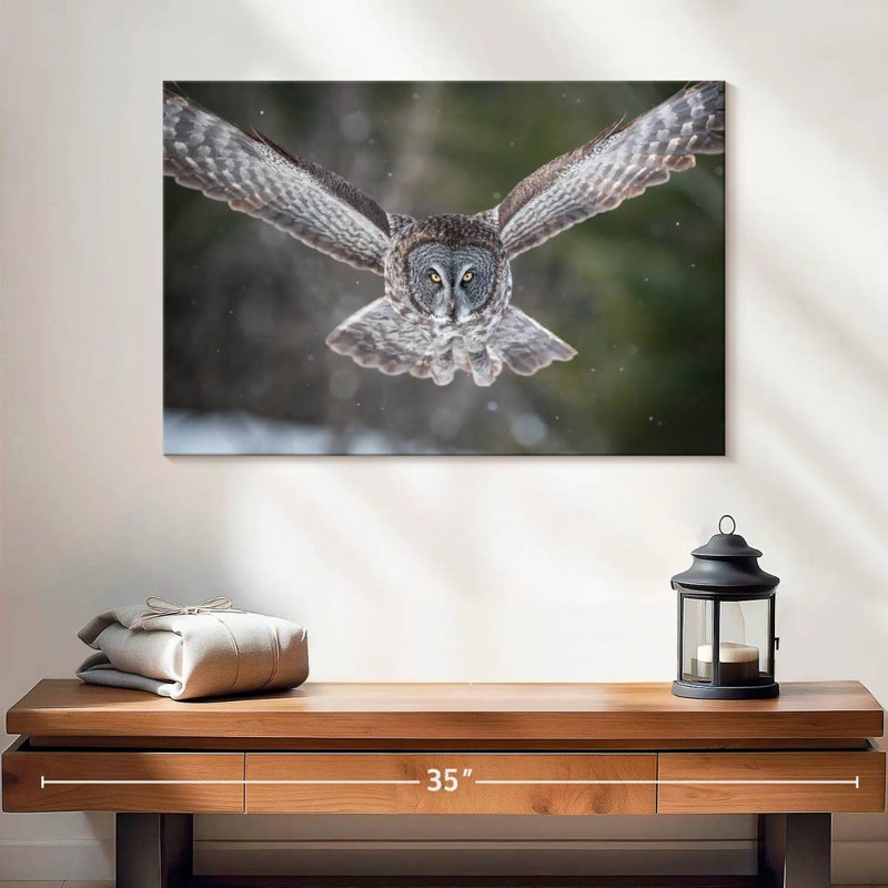 Brampt Flying Winter Owl, 16" H x 24" W