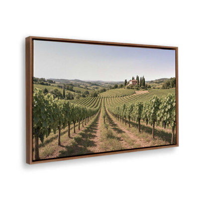 Sunlit Tuscan Vines Print on Canvas