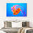 Brampt Jellyfish Somersault-107707520