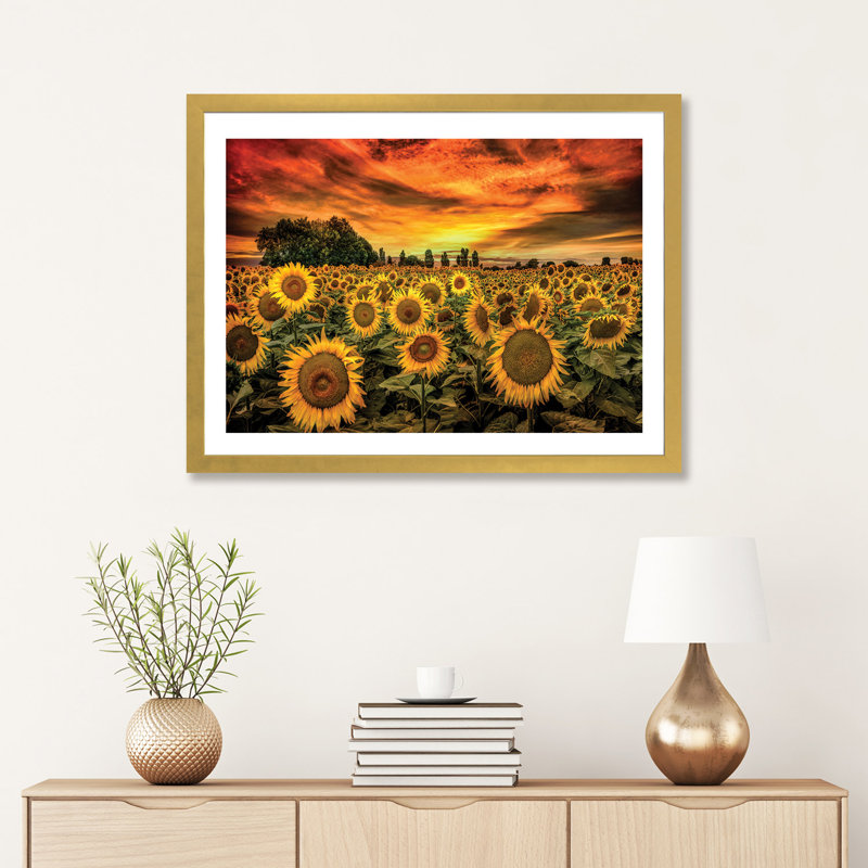 «Tuscany Sunflowers Field» - reproduction, H 24 po x l 32 po x P 1 po, Papier beaux-arts encadré doré