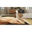 Tapis abstrait-98049507
