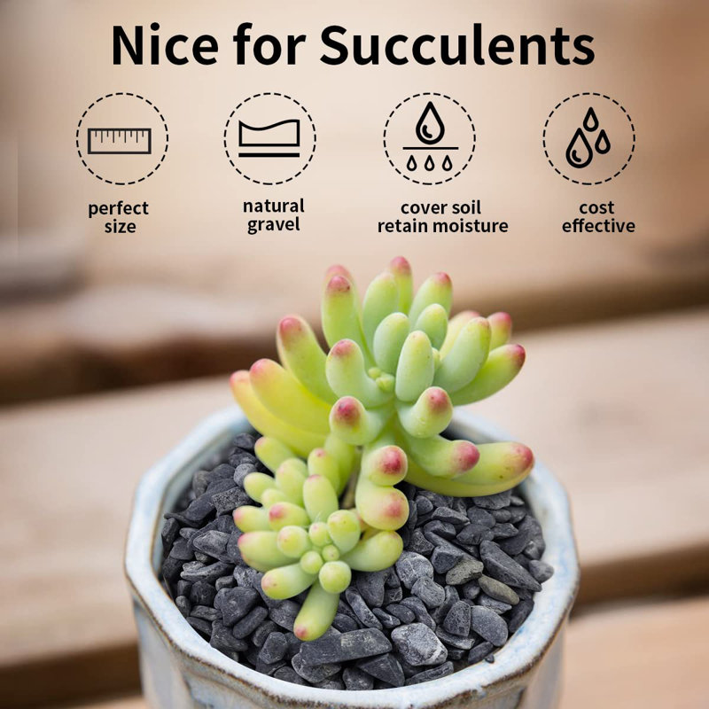 Natural Stone Landscape & Nature Garden Stone
