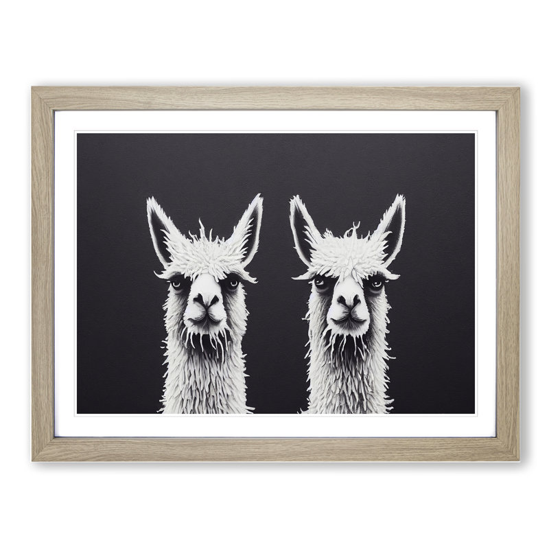 Two Llamas Vol.1 - Single Picture Frame Print, 34cm H x 46cm W x 2cm D, Oak Framed