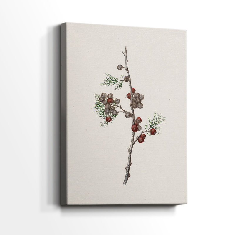 Pearled Lantern Serenade Gallery Wrapped Canvas, 18" H x 12" W