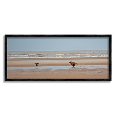 «Ba-365», chien qui chasse un oiseau sur la plage, impression sur toile par Gill Woodcock