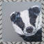 SAM FENNER Traditional Wall Decor on Ceramic