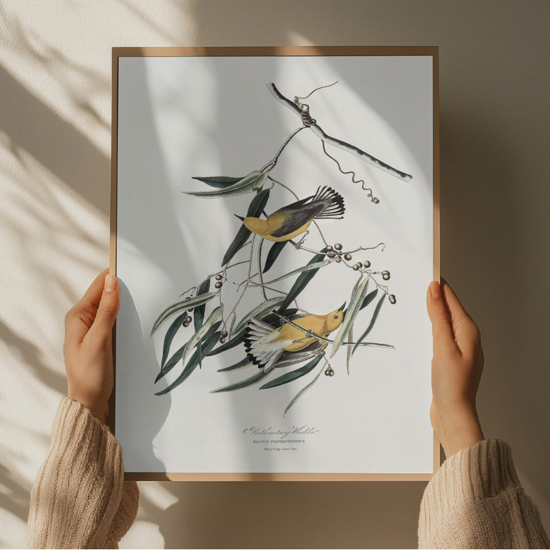 Wrapped Canvas Print, 50.8 cm H x 76.2 cm W