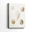 Pastel Knorr Shells - Pasta-700627073