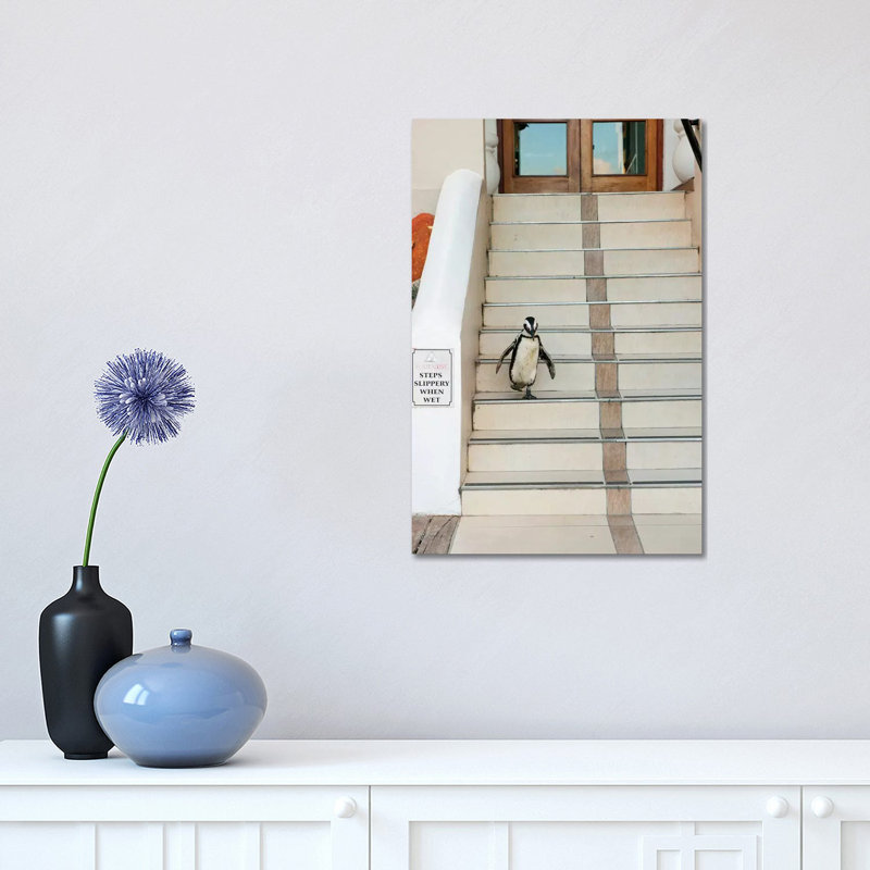 Black-Footed Penguin Descending Stairs, Boulders Beach, Cape Peninsula, South Africa by Kevin Schafer - Wrapped Canvas Print